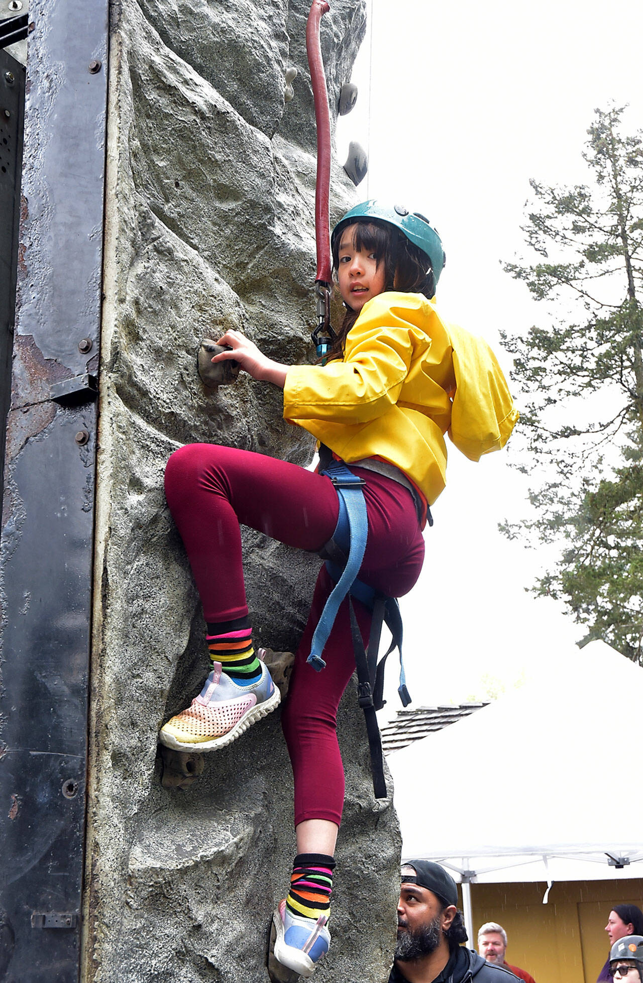 Lily Galloway, 9, of Port Angeles looks down from a climbing wall set up at the Olympic National Park visitor center in Port Angeles during Junior Ranger Day, a celebration of the park and of the outdoors. The event featured a variety of activities and exhibits focused on getting youths interested in the environment and the wonders of the national park system. (Keith Thorpe/Peninsula Daily News)