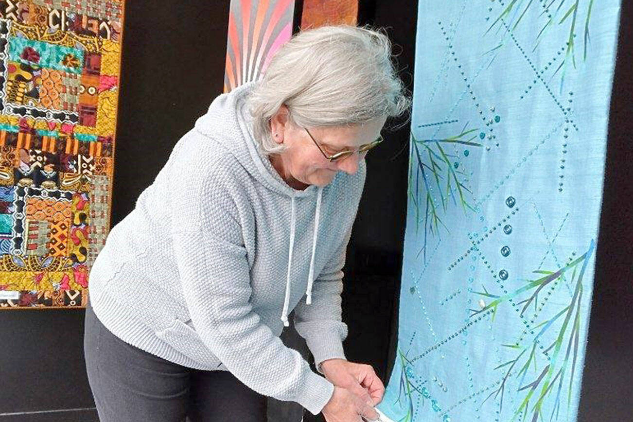 Port Townsend artist Sue Gale hangs one of the 16-inch by 60-inch banners now on display at the Peninsula Fiber Artists’ Fiber Habit walk-by exhibit at 675 Tyler St. in Port Townsend. Most pieces in the exhibit are available for purchase directly from the artists.