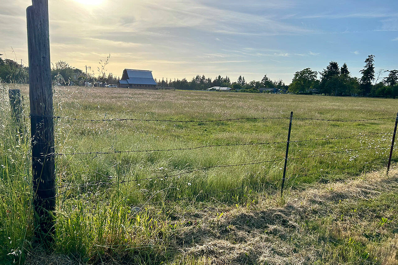 Sequim city council members approved a $2.45 million purchase of 16.52 acres off West Hendrickson Road to be used for a future park. It remains closed to the public as it’s being leased for agricultural use until plans and funding can be put in place for the future park. (Matthew Nash/Olympic Peninsula News Group)