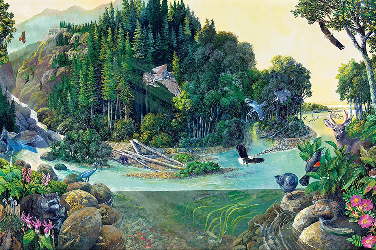 “Canyon to Estuary: Return of the Elwha River” by Larry Eifert is part of the exhibit “Beauty and Resilience: From Dismantling to Ecosystem Recovery” at the Port Angeles Fine Arts Center through Sept. 8.