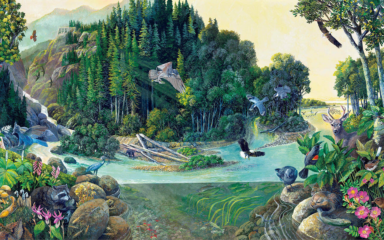 “Canyon to Estuary: Return of the Elwha River” by Larry Eifert is part of the exhibit “Beauty and Resilience: From Dismantling to Ecosystem Recovery” at the Port Angeles Fine Arts Center through Sept. 8.