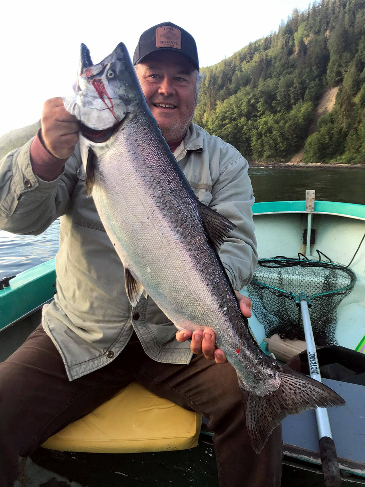Steve Hazard of Angler’s Hideaway in Sekiu caught this good-sized hatchery chinook Wednesday morning while fishing with good friend Morris Bond, age 83, in the Turquoise Avenger.