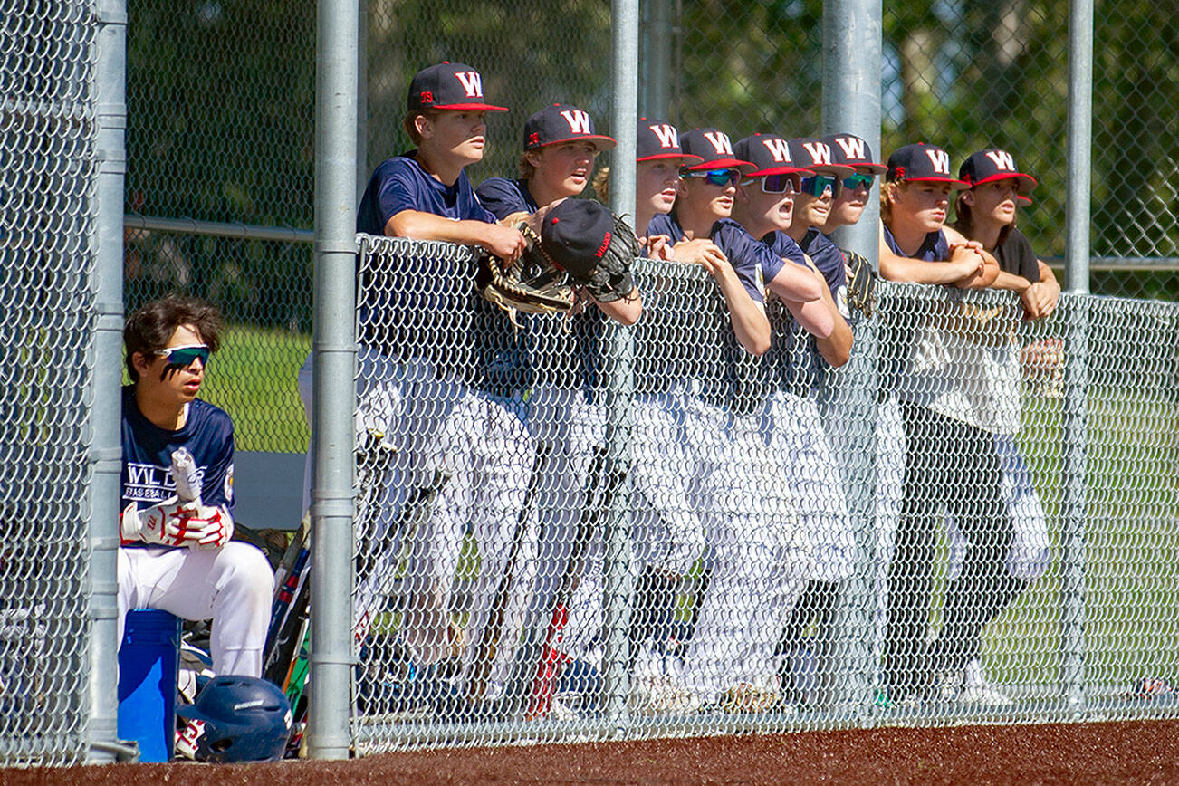 Evan Caldwell
Wilder A players cheer on their teammates from the dugout during an American Legion baseball game against the Stanwood Cannons in Stanwood.