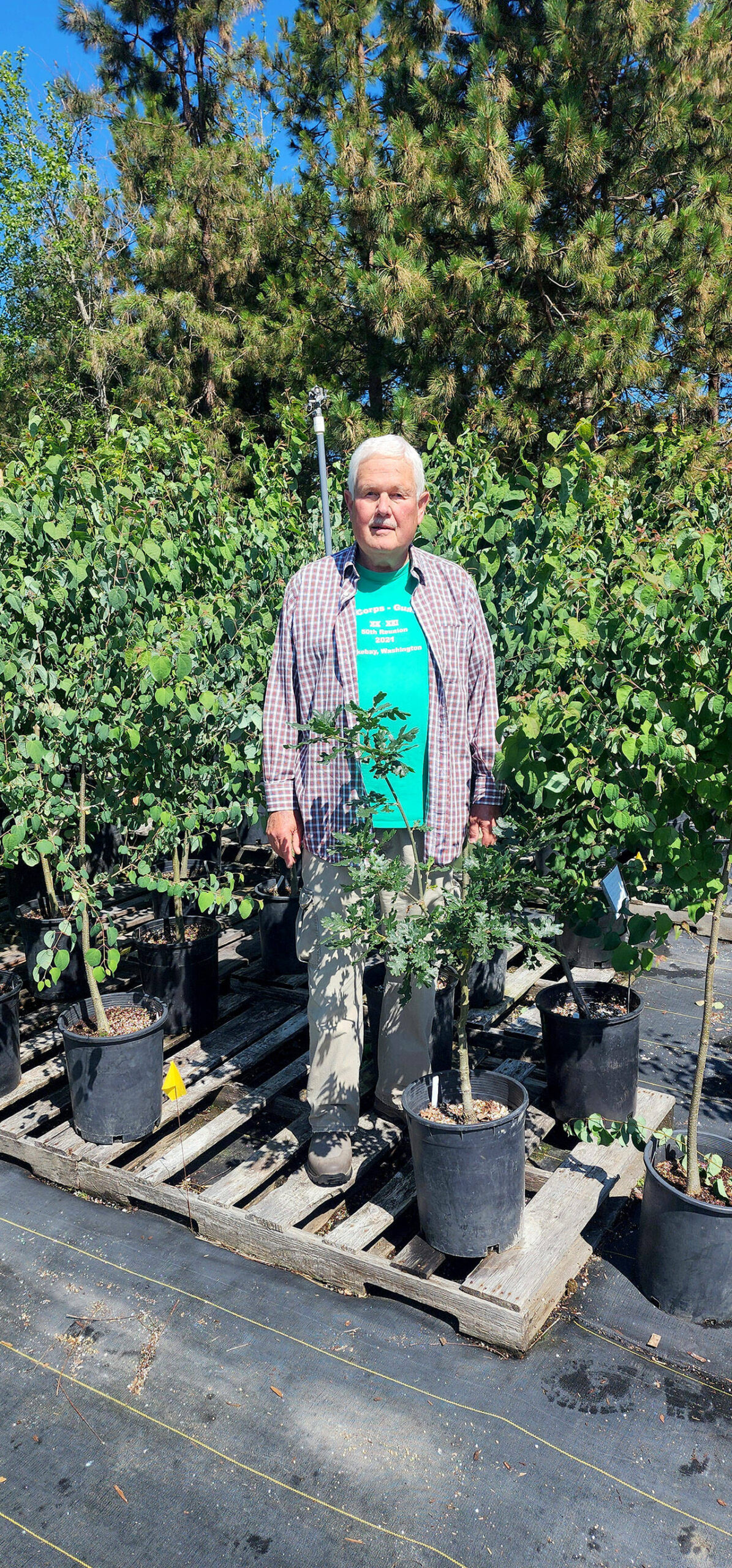 Paul Forrest stands with the actual trees that will be available in the city tree shade program. (Andrew May/For Peninsula Daily News)