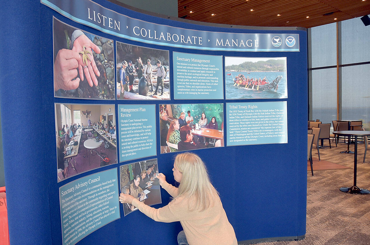 Erin Jaszczak, senior Program Operations Manager of the National Marine Sanctuary Foundation, assembles a display about the Olympic Coast National Marine Sanctuary in preparation for the sanctuary’s 30th birthday on Friday at Field Arts Events Hall in Port Angeles. The celebration includes informational presentations, a film festival and a collection of outdoor displays and activities in nearby Pebble Beach Park. Activities continue Saturday from 10 a.m. to 2 p.m. (KEITH THORPE/PENINSULA DAILY NEWS)