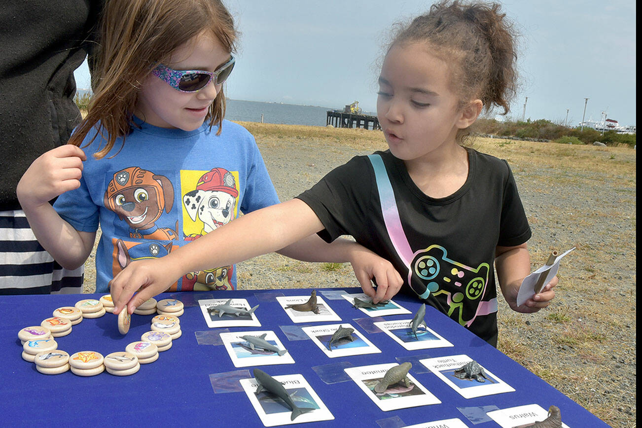 Riley Lohman, left, and Arya Davis, both 6, of Port Angeles, play a matching game of sea life at an activity table setup by the Olympic Coast National Marine Sanctuary during a 30th birthday party for the sanctuary at Waterfront Park. The celebration included information and activity booths from a variety of environmental stewardship groups, including the Feiro Marine Life Center, which will soon share a building at the location with the marine sanctuary. (Keith Thorpe/Peninsula Daily News)