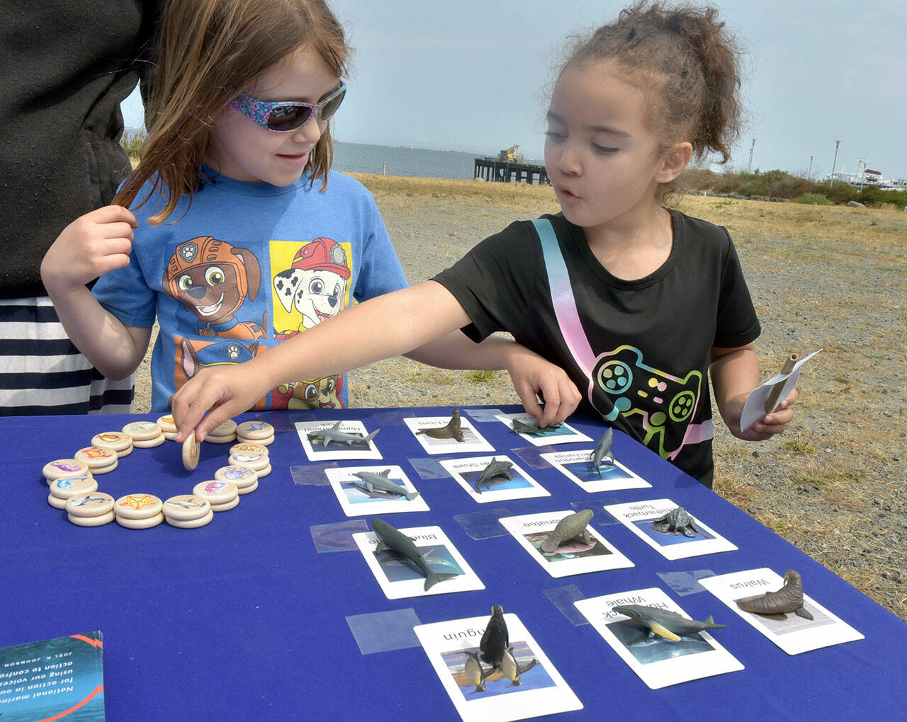 Riley Lohman, left, and Arya Davis, both 6, of Port Angeles, play a matching game of sea life at an activity table setup by the Olympic Coast National Marine Sanctuary during a 30th birthday party for the sanctuary at Waterfront Park. The celebration included information and activity booths from a variety of environmental stewardship groups, including the Feiro Marine Life Center, which will soon share a building at the location with the marine sanctuary. (Keith Thorpe/Peninsula Daily News)