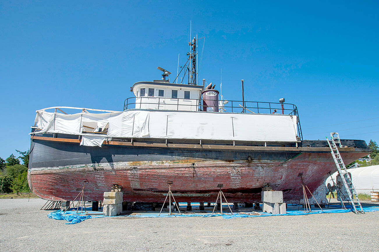 The former steam tug Elmore, built in 1890 by Elmore and Sanborn Fisheries in Astoria, Ore., sits on the hard at the Port Townsend Boat Haven Marina. The Elmore had several owners over the decades, the last being Henning Heinemann, who died recently, leaving the boat abandoned and claimed by the Port of Port Townsend as a derelict to be put up for auction. (Steve Mullensky/for Peninsula Daily News)