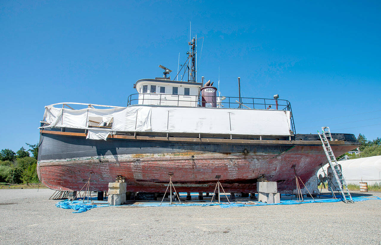 The former steam tug Elmore, built in 1890 by Elmore and Sanborn Fisheries in Astoria, Ore., sits on the hard at the Port Townsend Boat Haven Marina. The Elmore had several owners over the decades, the last being Henning Heinemann, who died recently, leaving the boat abandoned and claimed by the Port of Port Townsend as a derelict to be put up for auction. (Steve Mullensky/for Peninsula Daily News)