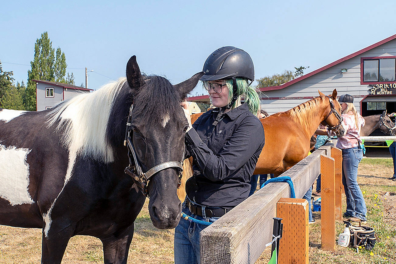 Grace Mathews, 14, of Chimacum grooms her Tennessee walking horse Chief, also 14, before entering the ring for the Showmanship Class competition on Thursday at the Jefferson County Fairgrounds in Port Townsend. The 87th annual fair starts today and runs through Sunday. (Steve Mullensky/for Peninsula Daily News)