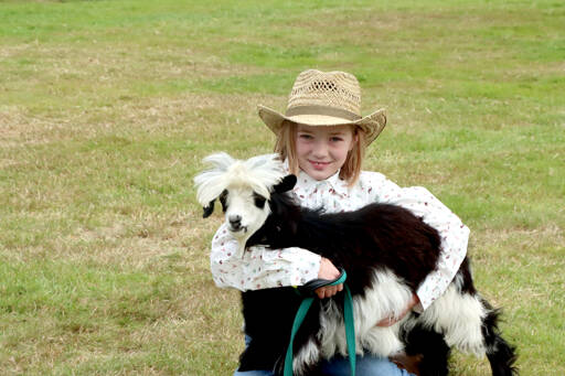 Marella Coff, a member of the Lambchops 4H Club, poses with her goat Danny Boy at the Clallam County Fair on Friday. (Dave Logan/For Peninsula Daily News)