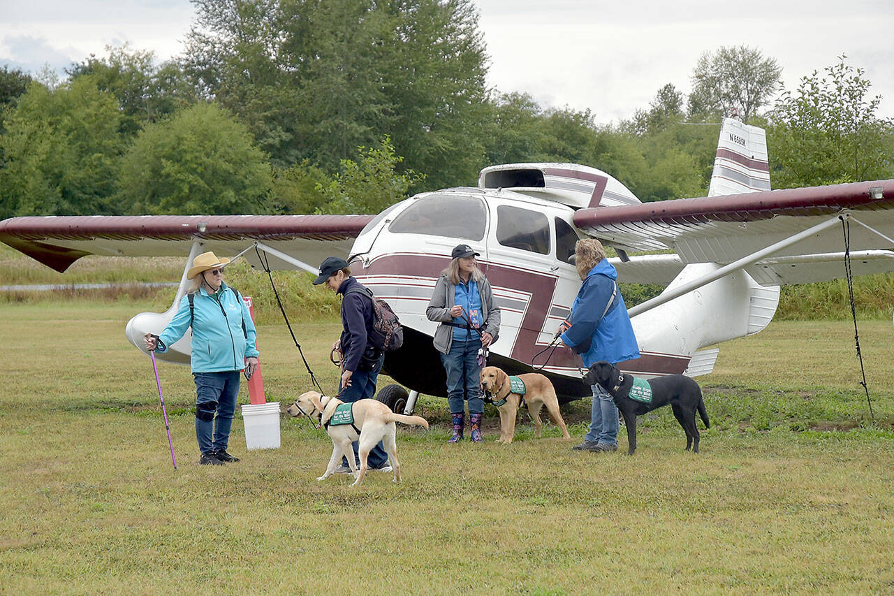 Members of the Sequim Guide Dogs for the Blind Puppy Club, from left, Barbara Surber, Claudine Sill with dog Phaedra, Kith Lamm with Weasley and Delores Wolfe with Timon, examine a 1947 Republic RC-3 airplane during Air Affaire on Saturday at Sequim Valley Airport. The event included food, music and a car show, as well as a variety of aircraft. (Keith Thorpe/Peninsula Daily News)