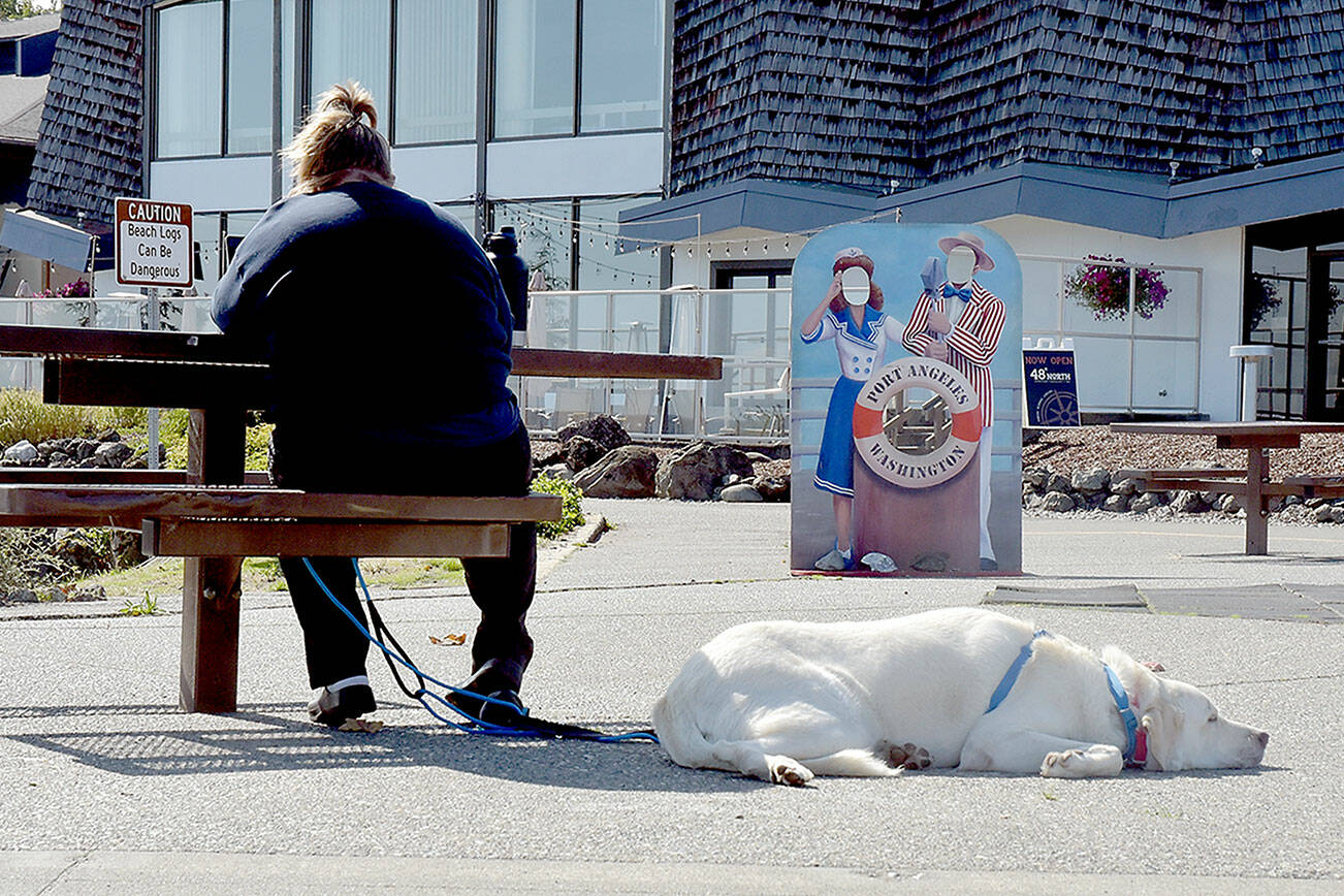 Mia Styant-Browne of Seattle sits at a picnic table with her laptop as her dog, Frankie, snoozes in the sun at Port Angeles City Pier on Tuesday. The pair took advantage of a clear morning on the North Olympic Peninsula. (Keith Thorpe/Peninsula Daily News)