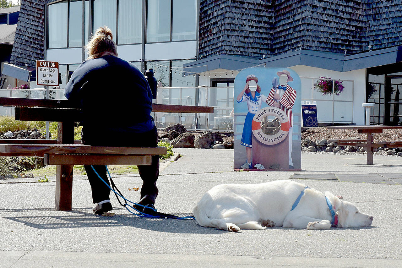 Mia Styant-Browne of Seattle sits at a picnic table with her laptop as her dog, Frankie, snoozes in the sun at Port Angeles City Pier on Tuesday. The pair took advantage of a clear morning on the North Olympic Peninsula. (Keith Thorpe/Peninsula Daily News)