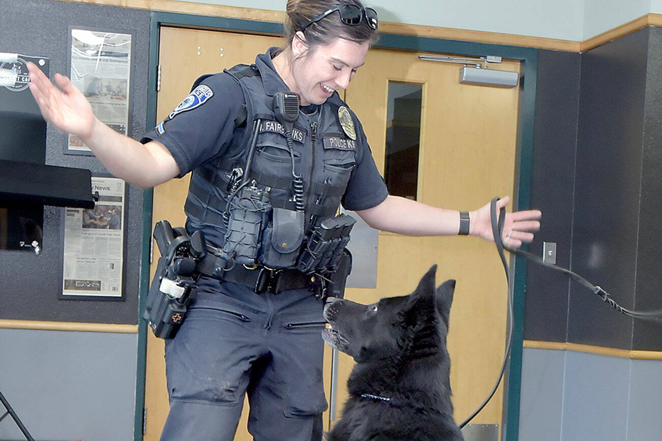 Port Angeles Police Officer Whitney Fairbanks plays with her dog Copper during a presentation to the Port Angeles Noon Rotary Club at the Wildcat Cafe. Fairbanks and Sgt. Kevin Miller each brought their K-9 officers to the demonstration. (Keith Thorpe/Peninsula Daily News)