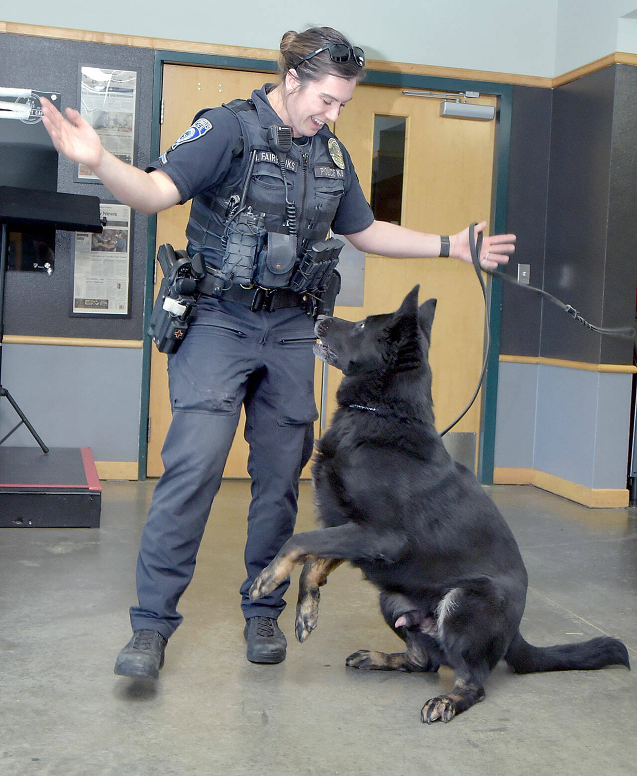 Port Angeles Police Officer Whitney Fairbanks plays with her dog Copper during a presentation to the Port Angeles Noon Rotary Club at the Wildcat Cafe. Fairbanks and Sgt. Kevin Miller each brought their K-9 officers to the demonstration. (Keith Thorpe/Peninsula Daily News)