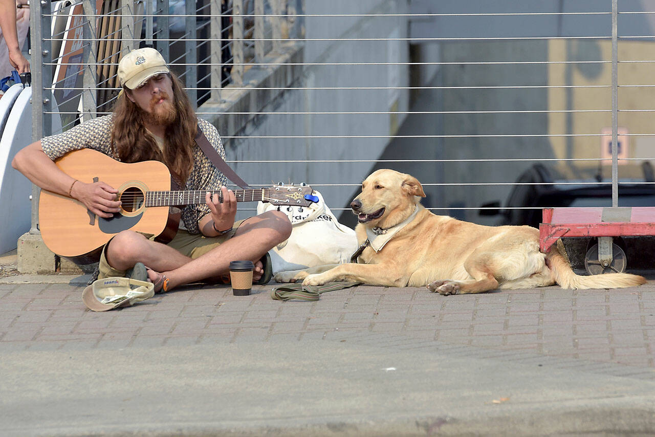 Isaac Deater of Port Angeles plays guitar as his dog, Mimi, listens in on the sidewalk outside the Port Angeles Farmers Market at The Gateway pavilion on Saturday. Deater was busking for donations on a warm late-summer weekend on the North Olympic Peninsula. (Keith Thorpe/Peninsula Daily News)