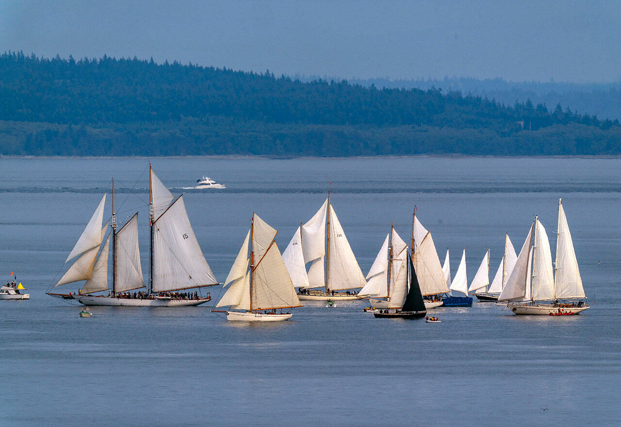 A number of schooners cross the Port Townsend Bay as they take part in the annual Northwest Schooner Cup race during the Wooden Boat Festival on Saturday at Point Hudson Marina. (Steve Mullensky/for Peninsula Daily News)