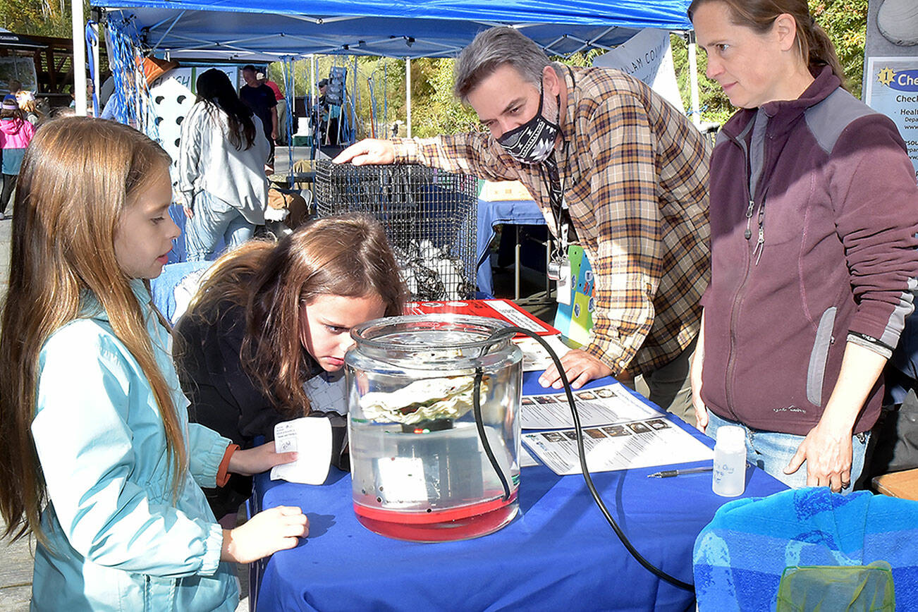 Helen Haller Elementary third-graders Annyah Beck, 9, left, and Accasia Andertson, 8, examine a water quality display using an oyster for demonstration at a booth staffed by Rob Banes and Liz Maier, both health advisers for the state Department of Health, during the Dungeness River Festival on Friday at the Dungeness River Nature Center in Sequim. The event brought a variety of environmental and educational agencies in a celebration of the outdoors and conservation. (Keith Thorpe/Peninsula Daily News)