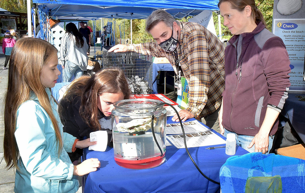 Helen Haller Elementary third-graders Annyah Beck, 9, left, and Accasia Andertson, 8, examine a water quality display using an oyster for demonstration at a booth staffed by Rob Banes and Liz Maier, both health advisers for the state Department of Health, during the Dungeness River Festival on Friday at the Dungeness River Nature Center in Sequim. The event brought a variety of environmental and educational agencies in a celebration of the outdoors and conservation. (Keith Thorpe/Peninsula Daily News)