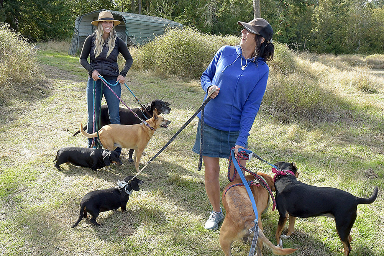 KEITH THORPE/PENINSULA DAILY NEWS
Shelby Vaughan, left, and her mother, Martha Vaughan, along with a selection of dogs, plan to construct dog shelters at Fox-Bell farm near Sequim in an effort to assist the Clallam County Humane Society with housing wayward canines.