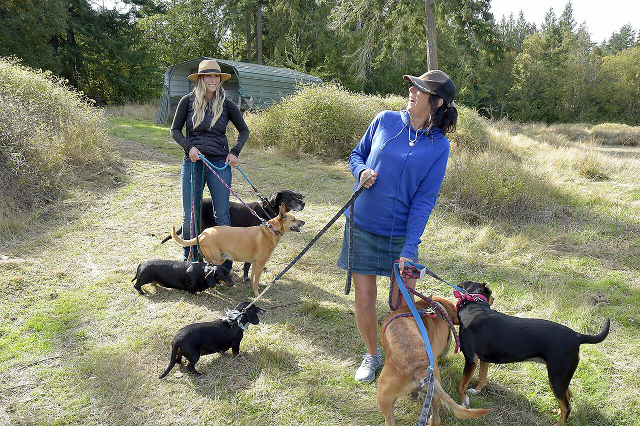 Shelby Vaughan, left, and her mother, Martha Vaughan, along with a selection of dogs, plan to construct dog shelters at Fox-Bell Farm near Sequim in an effort to assist the Clallam County Humane Society with housing wayward canines. (KEITH THORPE/PENINSULA DAILY NEWS)