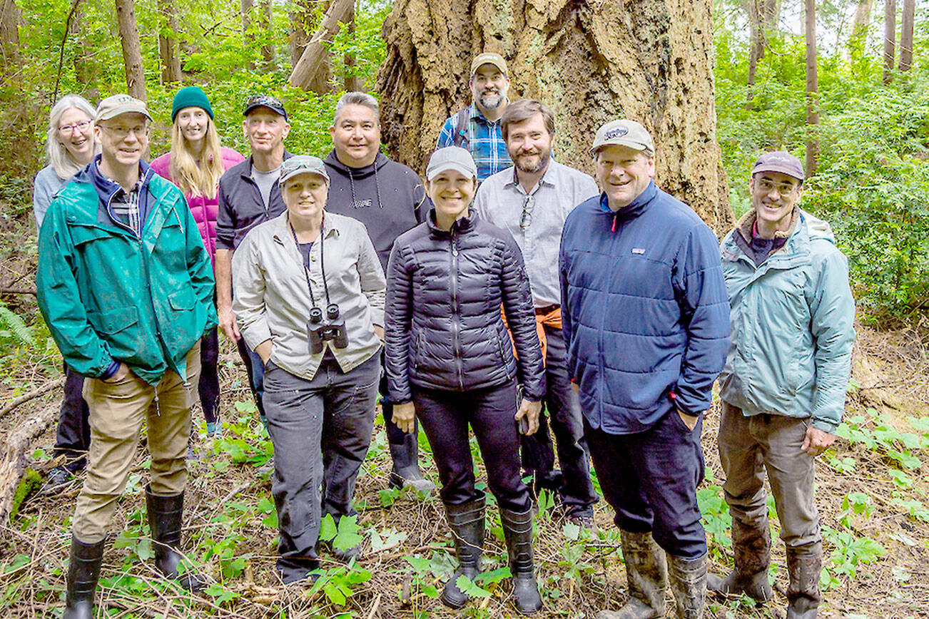 State and local officials toured Dabob Bay forests in 2022. Back row, left to right, Mary Jean Ryan of Quilcene; Rachel Bollens; Bill Taylor, Taylor Shellfish Co.; Jeromy Sullivan, Port Gamble S’Klallam Tribe; Justin Allegro, The Nature Conservancy; and Greg Brotherton, Jefferson County Commissioner. Front row, left to right, Duane Emmons, DNR staff; Jean Ball of Quilcene; Hilary Franz, state Commissioner of Public Lands; Mike Chapman, state Representative; and Peter Bahls, director of Northwest Watershed Institute. (Keith Lazelle)