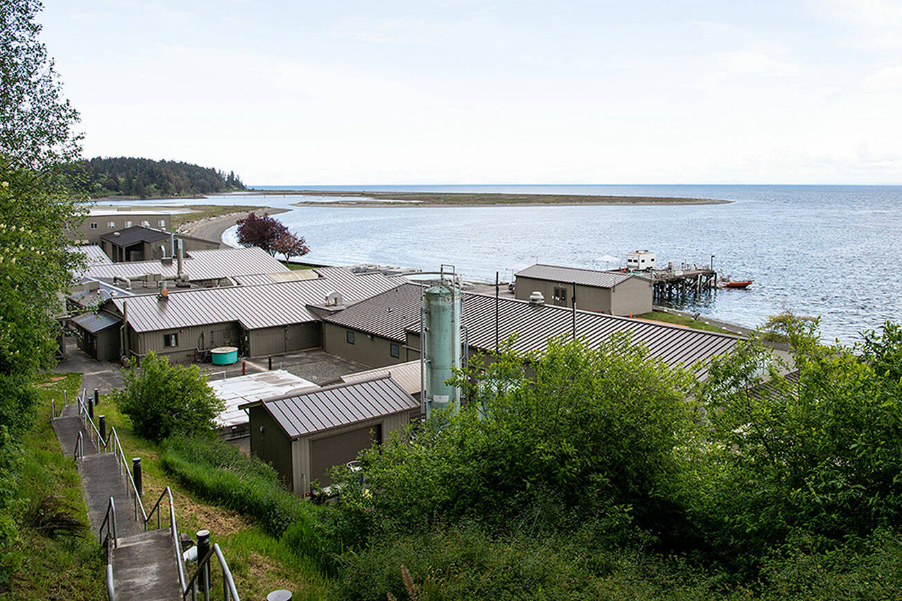 Staff with PNNL-Sequim plan to expand the laboratory space by demolishing two temporary buildings by Washington Harbor along Sequim Bay and build a three-story structure. They also intend to add Sequim utilities along West Sequim Bay Road in the coming years. (Andrea Starr/Pacific Northwest National Laboratory)