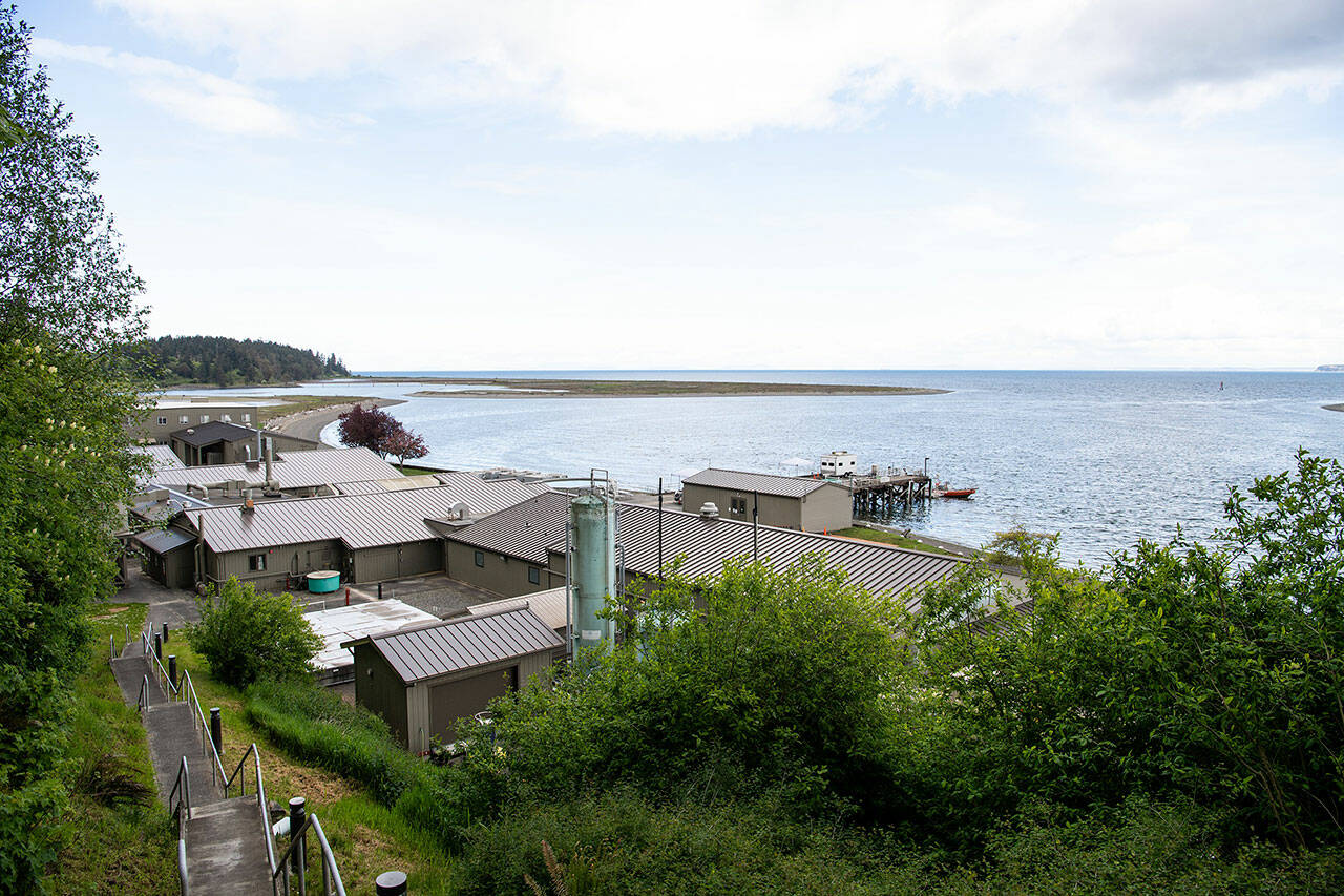 Staff with PNNL-Sequim plan to expand the laboratory space by demolishing two temporary buildings by Washington Harbor along Sequim Bay and build a three-story structure. They also intend to add Sequim utilities along West Sequim Bay Road in the coming years. (Andrea Starr/Pacific Northwest National Laboratory)