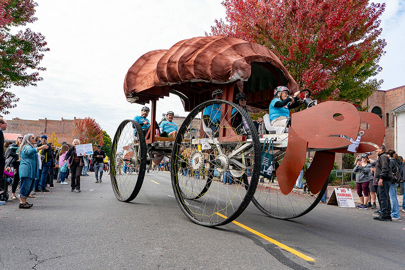 A massive kinetic skulpture called Maxtivity’s GLORY-ous Chocolate Turtle from Corvallis, Ore., negotiates a turn on Water Street during the 40th Kinetic Skulpture Parade and Race in downtown Port Townsend on Saturday. (Steve Mullensky/for Peninsula Daily News)