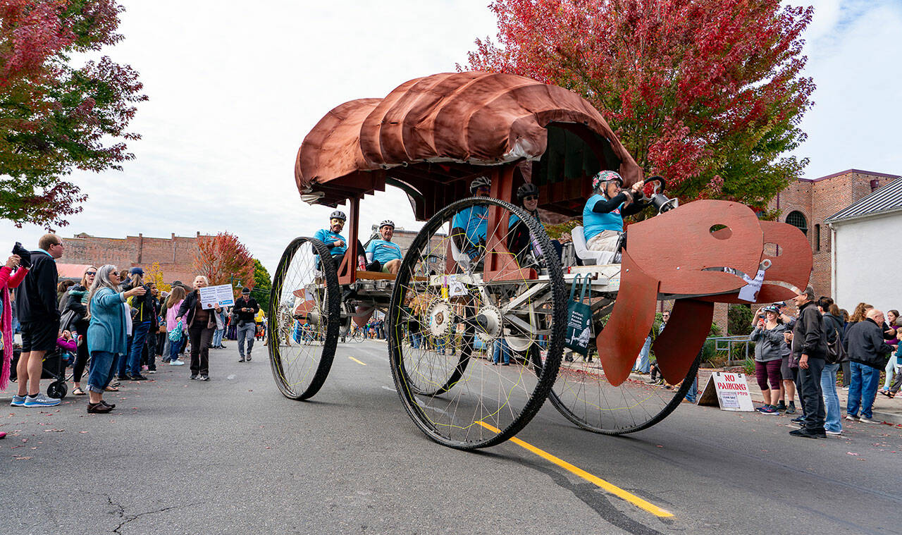 A massive kinetic skulpture called Maxtivity’s GLORY-ous Chocolate Turtle from Corvallis, Ore., negotiates a turn on Water Street during the 40th Kinetic Skulpture Parade and Race in downtown Port Townsend on Saturday. (Steve Mullensky/for Peninsula Daily News)