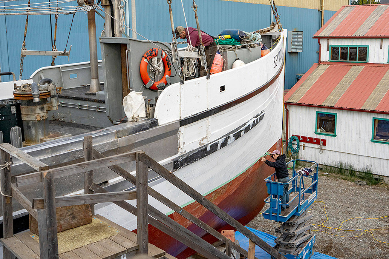 Steve Mullensky/for Peninsula Daily News

Port Townsend Shipwright's Co-op employees, Ossian Smith, seals cracks on the deck while Olly Nivison lays masking tape for a paint line while both are working on the 111 year old halibut schooner Seymore, on the hard at the Port Townsend Marina on Wednesday.