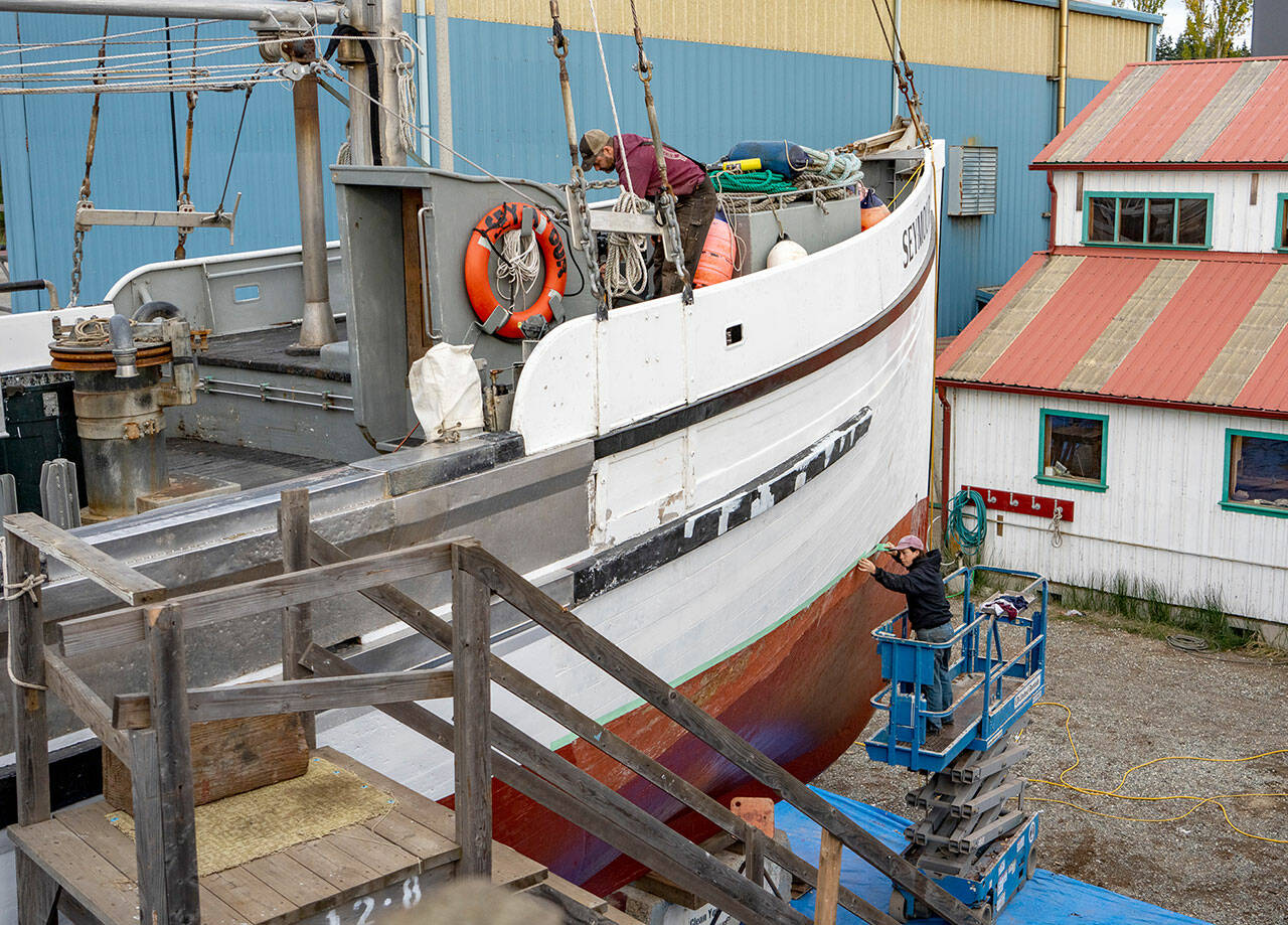 Port Townsend Shipwright’s Co-op employee Ossian Smith seals cracks on the deck while Olly Nivison lays masking tape for a paint line. Both are working on the 111 year old halibut schooner Seymore, on the hard at the Port Townsend Marina on Wednesday. (Steve Mullensky/for Peninsula Daily News)