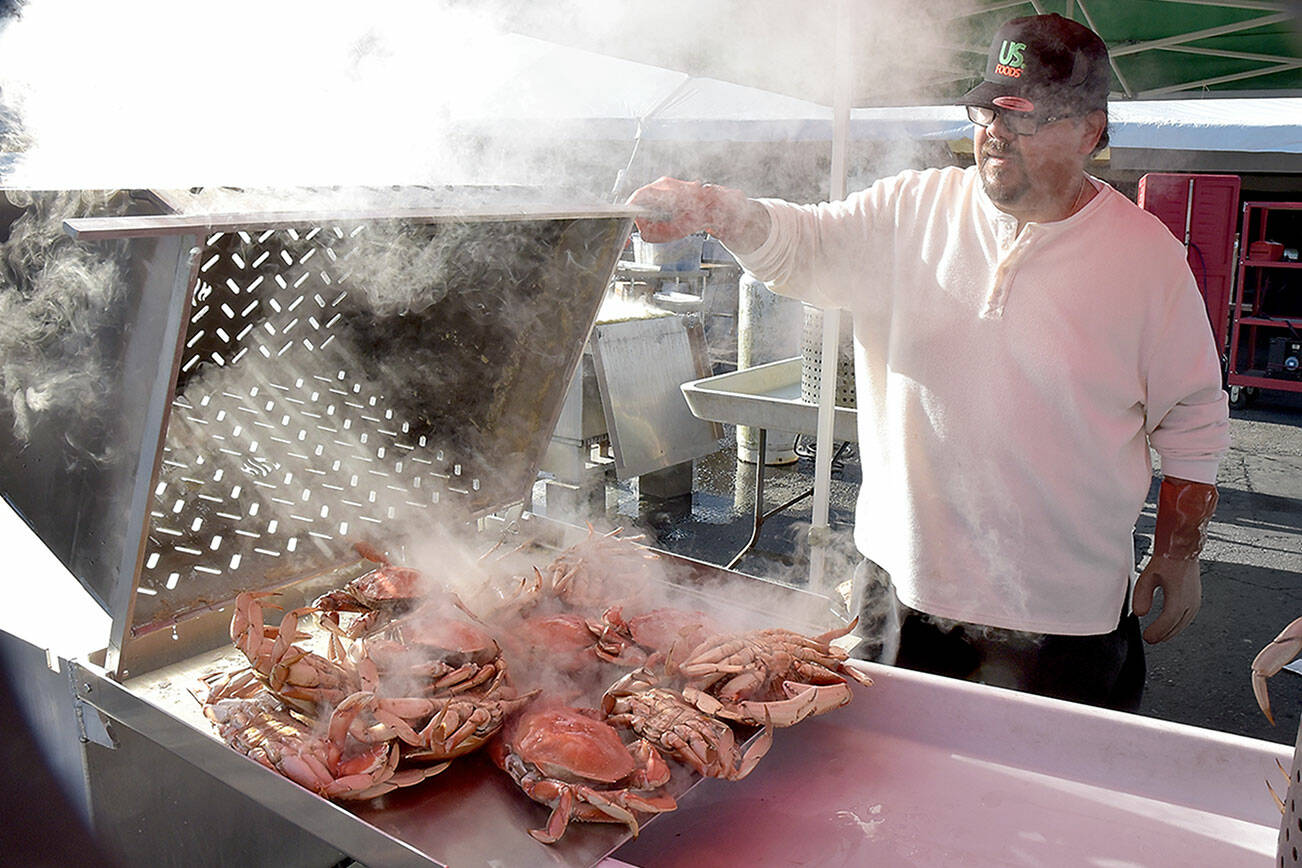 KEITH THORPE/PENINSULA DAILY NEWS
Mario Casarez of U.S. Food pours out a batch of freshly-boiled crabs in preparation for Friday's opening day of the Dungeness Crab Festival. The three-day festival celebrates a wide variety of seafood available for purchase, as well as music, merchandise vendors and other activities centered around the Red Lion Hotel parking lot and other nearby venues.