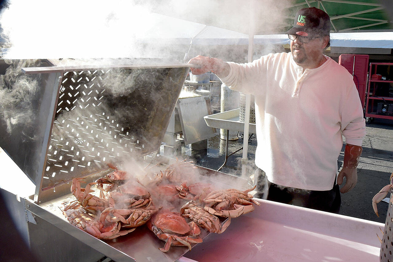 Mario Casarez of U.S. Food pours out a batch of freshly-boiled crabs in preparation for Friday’s opening day of the Dungeness Crab Festival. The three-day festival celebrates a wide variety of seafood available for purchase, as well as music, merchandise vendors and other activities centered around the Red Lion Hotel parking lot and other nearby venues. (KEITH THORPE/PENINSULA DAILY NEWS)