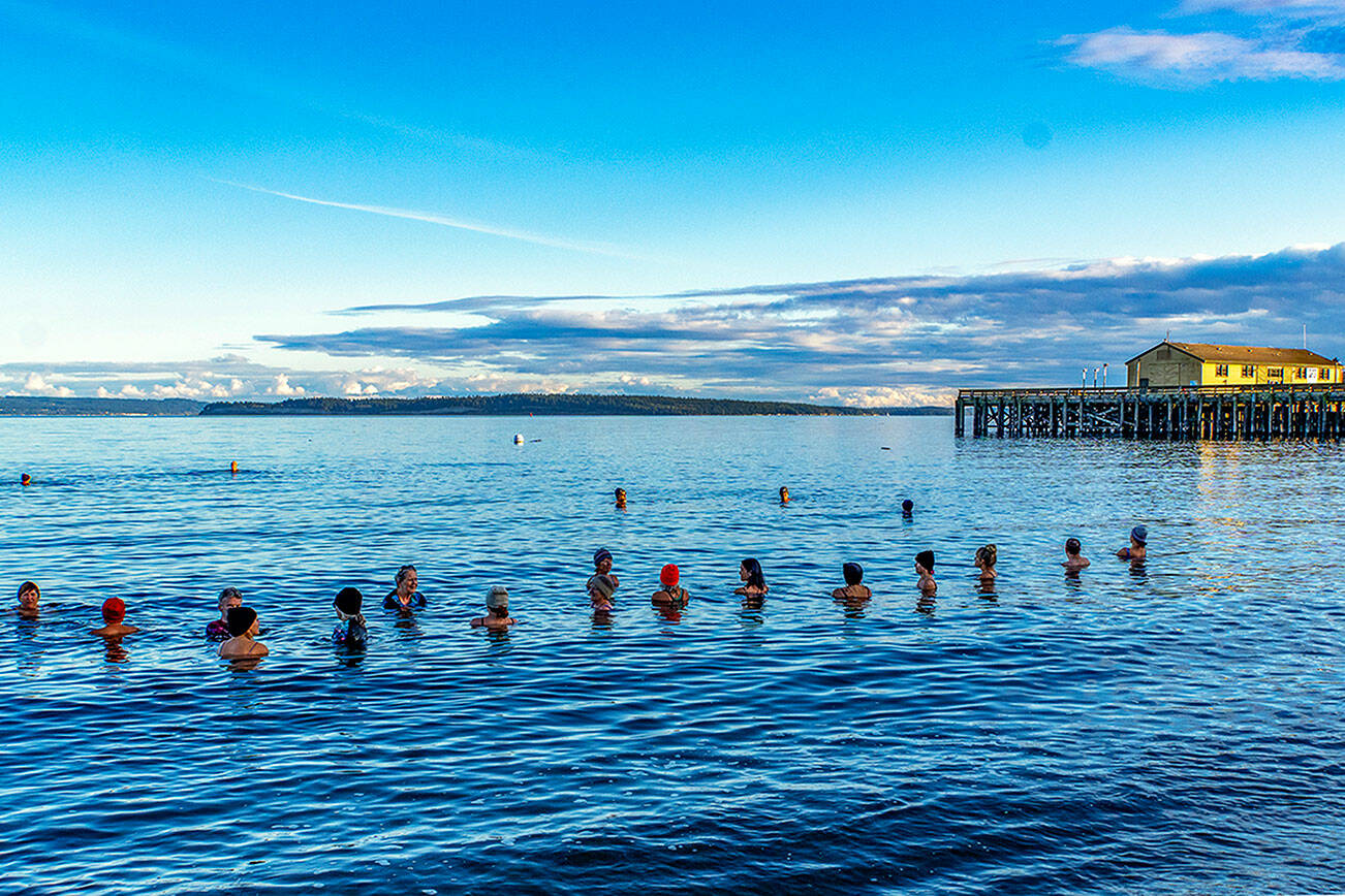 About two dozen took part in a community cold plunge in the 48-degree waters of Port Townsend Bay on Thursday to celebrate the biggest super moon of the year. Although the moon wasn’t due to rise for at least another hour, that didn’t dampen the participants’ entry into the bay next to the Port Townsend Marine Science Center aquarium. (Steve Mullensky/for Peninsula Daily News)