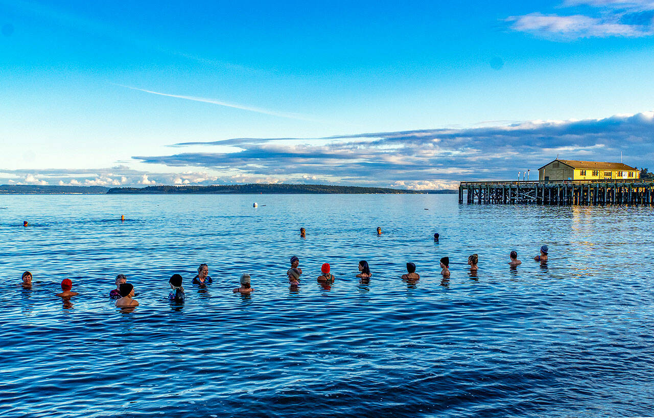 About two dozen took part in a community cold plunge in the 48-degree waters of Port Townsend Bay on Thursday to celebrate the biggest super moon of the year. Although the moon wasn’t due to rise for at least another hour, that didn’t dampen the participants’ entry into the bay next to the Port Townsend Marine Science Center aquarium. (Steve Mullensky/for Peninsula Daily News)