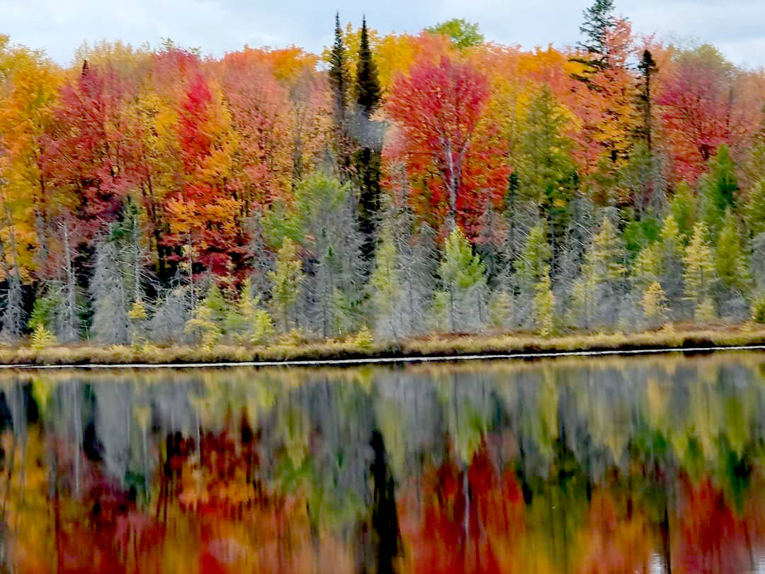 Fall color is breathtaking and why I emphasize it so! My sister took this photo last week at our cottage in far Northern Wisconsin and perfectly shows why everyone should plant fall foliage plants. (Linda May)