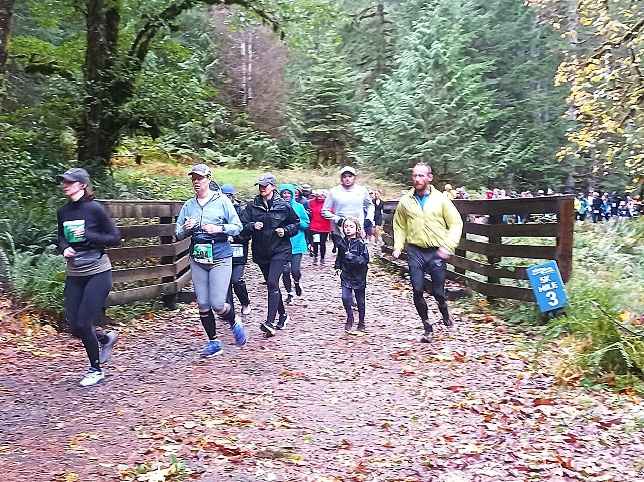 Runners take off up the hill at the inaugural Spruce Railroad Run at Lake Crescent on Saturday morning. (Pierre LaBossiere/Peninsula Daily News)