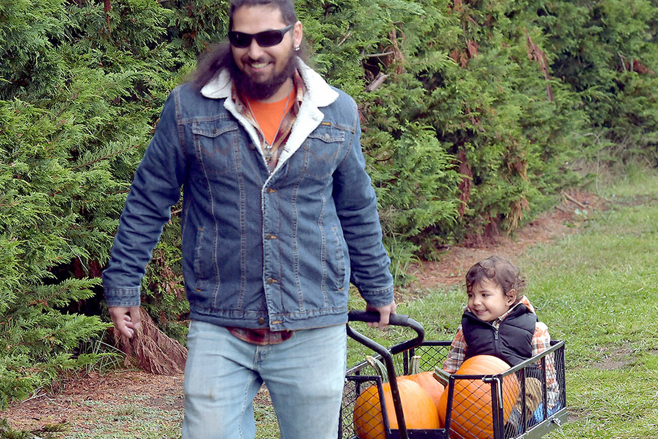 Patrick Young of Sequim pulls a cart containing his son, Ellis Young, 2 1/2, and freshly picked pumpkins on Saturday at the pumpkin patch at Agnew Grocery east of Port Angeles. The family was out in a light rain to collect the perfect Jack ‘o Lantern for Halloween. (Keith Thorpe/Peninsula Daily News)