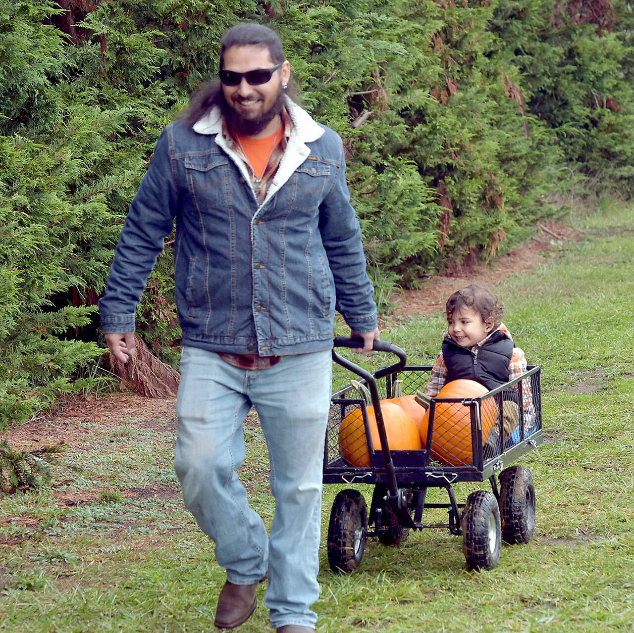 Patrick Young of Sequim pulls a cart containing his son, Ellis Young, 2 1/2, and freshly picked pumpkins on Saturday at the pumpkin patch at Agnew Grocery east of Port Angeles. The family was out in a light rain to collect the perfect Jack ‘o Lantern for Halloween. (Keith Thorpe/Peninsula Daily News)