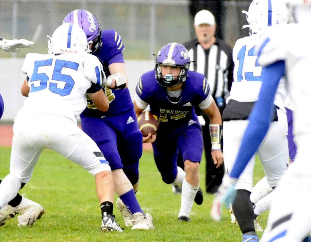 Sequim’s Zeke Schmadeke looks for room to run against Olympic on Saturday. The Wolves moved the ball, but three fumbles cost them dearly in a 28-7 loss. (Matthew Nash/Olympic Peninsula News Group)