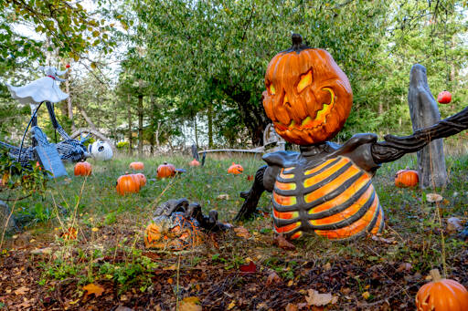 Residents of Halloween Town await your arrival, if you dare, at this yard on the corner of Quimper Lane and Chimacum Creek Road in Port Hadlock. (Steve Mullensky/for Peninsula Daily News)