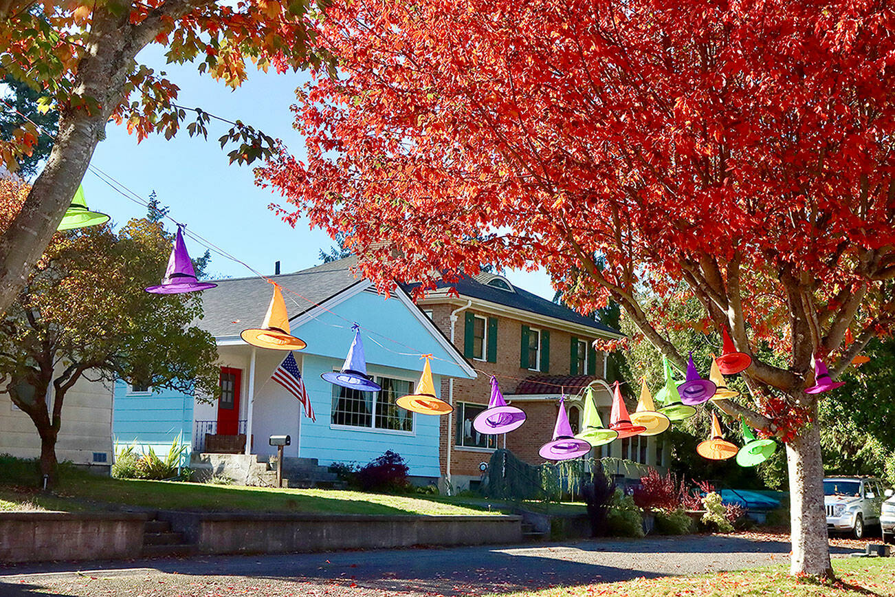 A line of colorful witches hats is strung between autumn trees in the 300 block of west 10th street in west Port Angeles.  dlogan