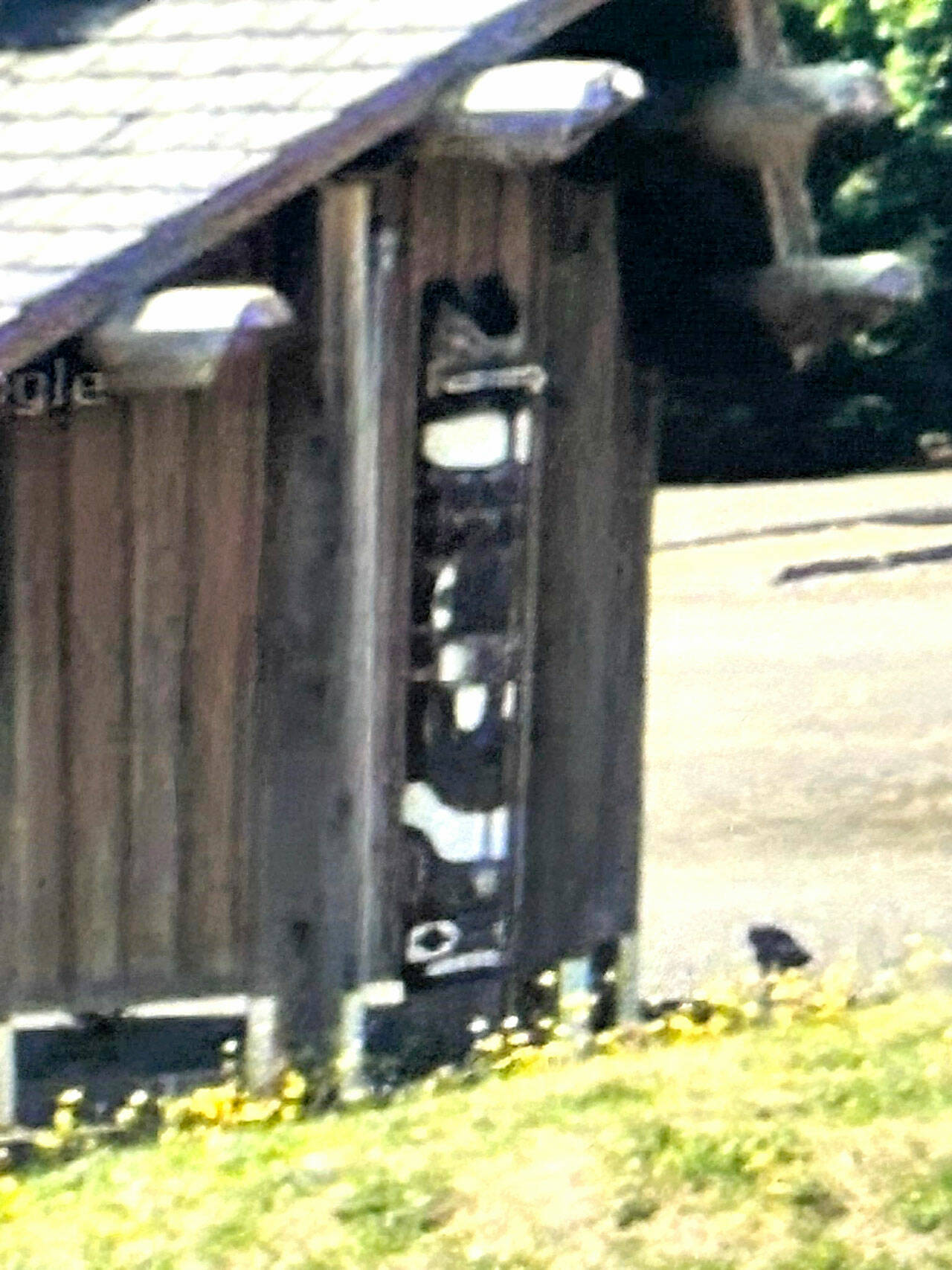 Two Totem Poles were missing from The Quileute Tribe’s 101 Building in Forks.