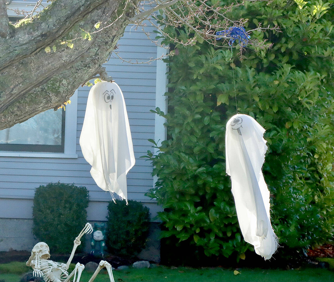 Two ghosts dangle from a tree in the breeze in the 200 block of West 10th street in Port Angeles. Halloween events are scheduled today throughout the North Olympic Peninsula. (Dave Logan/for Peninsula Daily News)