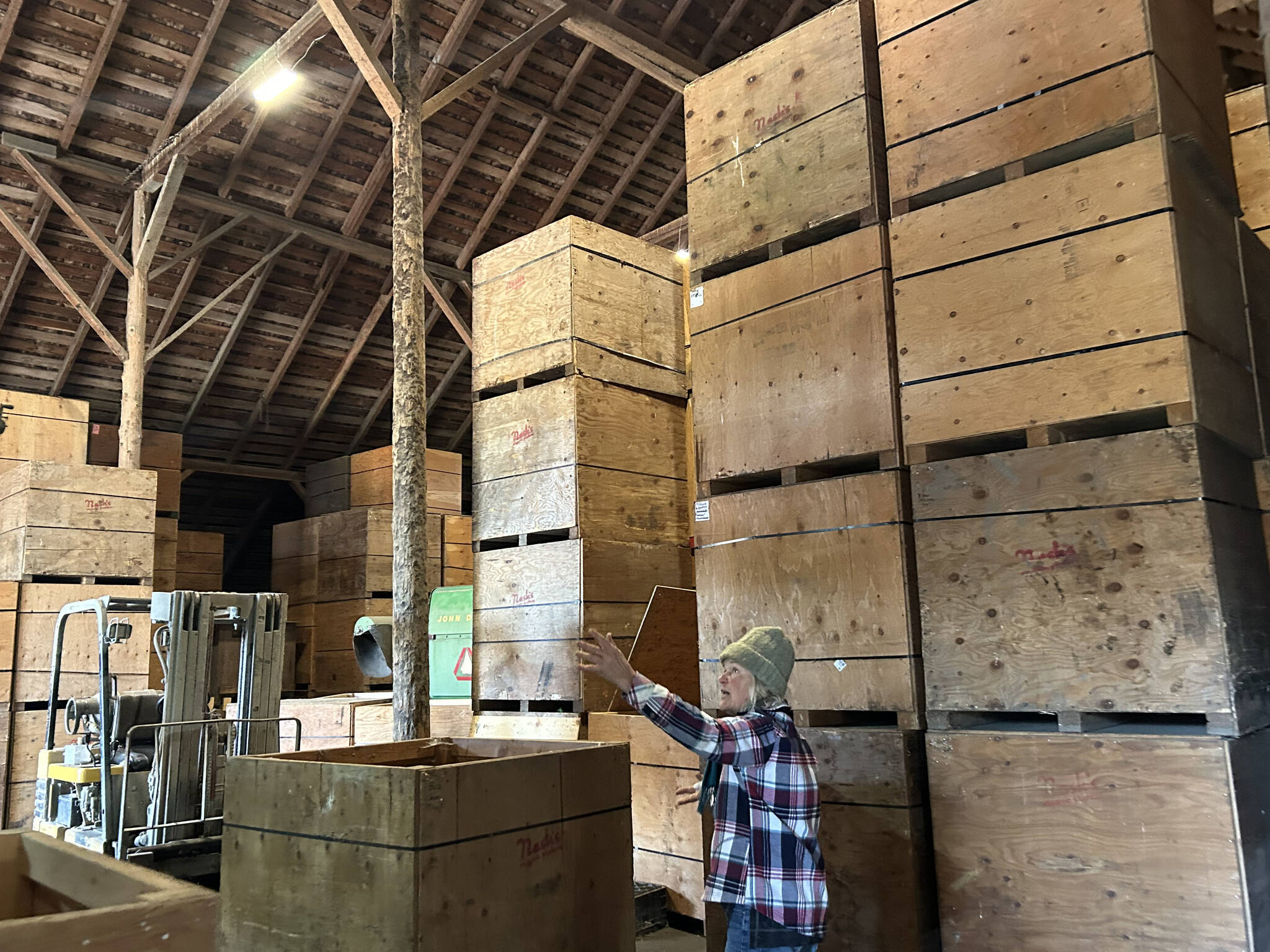 Karen Huber, sister of Nash Huber, the owner of Nash’s Organic Produce, stands by large crates that hold various seeds that Nash sells to farmers. She said she’s mitigated alleged violations and concerns from property owner, Washington Land Trust, but the longtime farmer faces eviction from the property if he doesn’t comply with ending his lease agreement that goes through 2032. (Matthew Nash/Olympic Peninsula News Group)