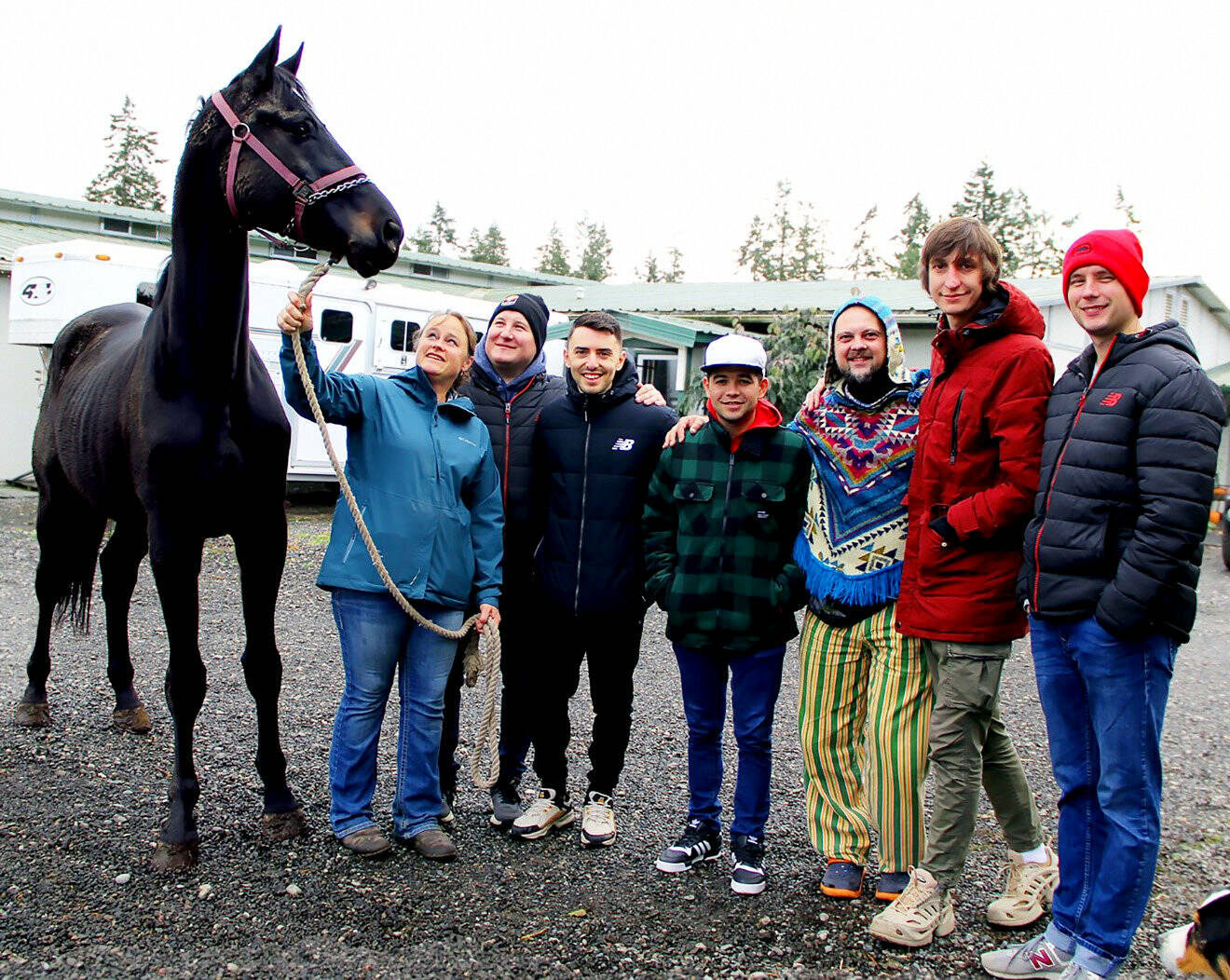 When Ukrainian musical group Kommuna Lux played at the Palindrome recently, they met up with Paradigm Sporthorse Trainer Rebecca Cushman to see her two Ukrainian Warmblood imports Tux (shown) and Artist. From left, Sergei Zhuravel, Volodymyr Gitin, Bagrat Tsurkan, Oleg Vasianovych, Sergei Poltorak and Yaroslav Besh. They’re currently touring the U.S. and Cananda to raise money to aid their fellow citizens affected by Russian military attacks. (Karen Griffiths/For Peninsula Daily News)