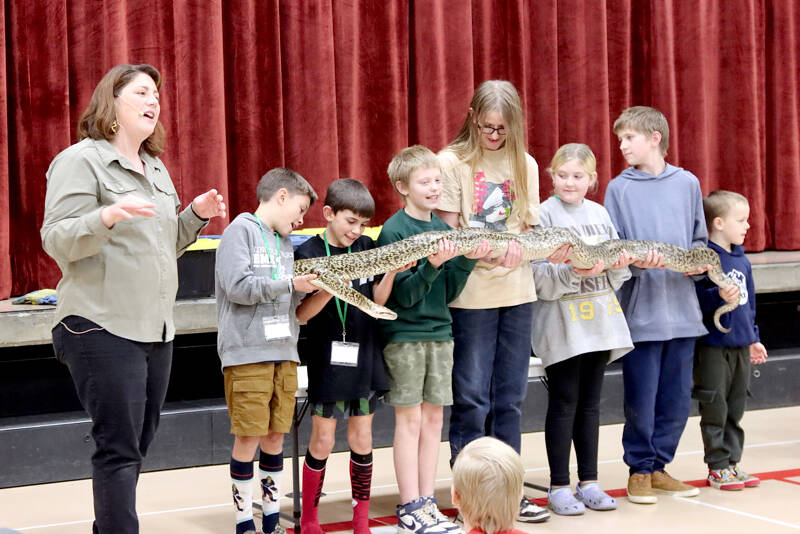 April Jackson, The Reptile Lady, speaks while students hold a 12-foot Burmese python named “Mr. Pickles” at Jefferson Elementary School in Port Angeles on Friday. The students, from left to right, are Braden Gray, Bennett Gray, Grayson Stern, Aubrey Whitaker, Cami Stern, Elliot Whitaker and Cole Gillilan. Jackson, a second-generation presenter, showed a variety of reptiles from turtles to iguanas. Her father, The Reptile Man, is Scott Peterson from Monroe, who started teaching about reptiles more than 35 years ago. (Dave Logan/for Peninsula Daily News)