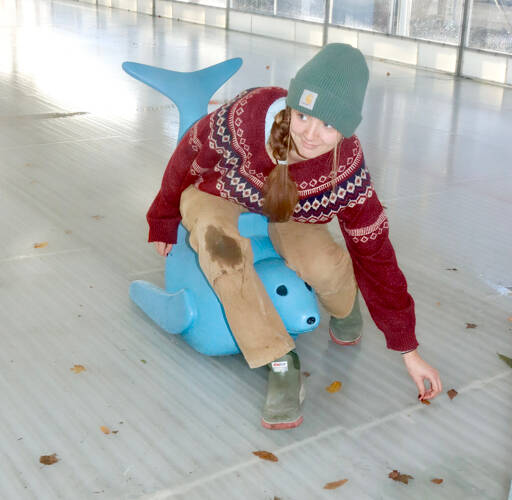 Laken Folsom, a Winter Ice Village employee, tries to remove leaves that blew in from this week’s wind storm before they freeze into the surface of the rink on Thursday. The Winter Ice Village, operated by the Port Angeles Chamber of Commerce in the 100 block of West Front Street, opens today and runs through Jan. 5. Hours are from noon to 9 p.m. daily. New this year is camera showing the current ice village conditions at www.skatecam.org. (Dave Logan/for Peninsula Daily News)